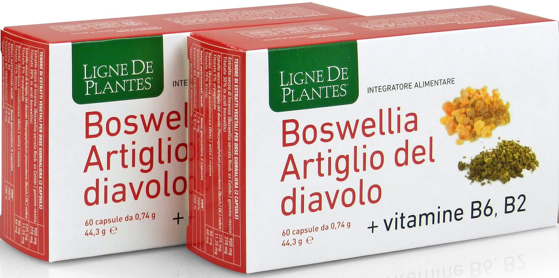 Boswellia Artiglio del Diavolo