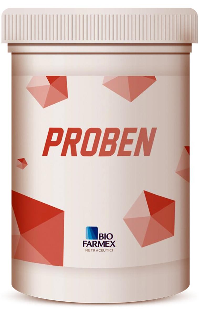 PROBEN