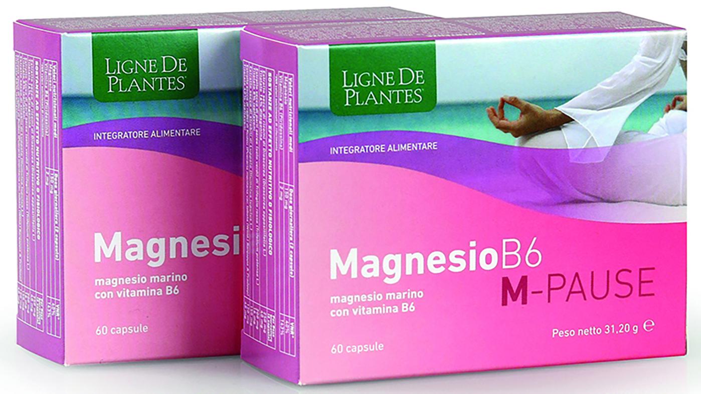 MAGNESIO B6 M-PAUSE