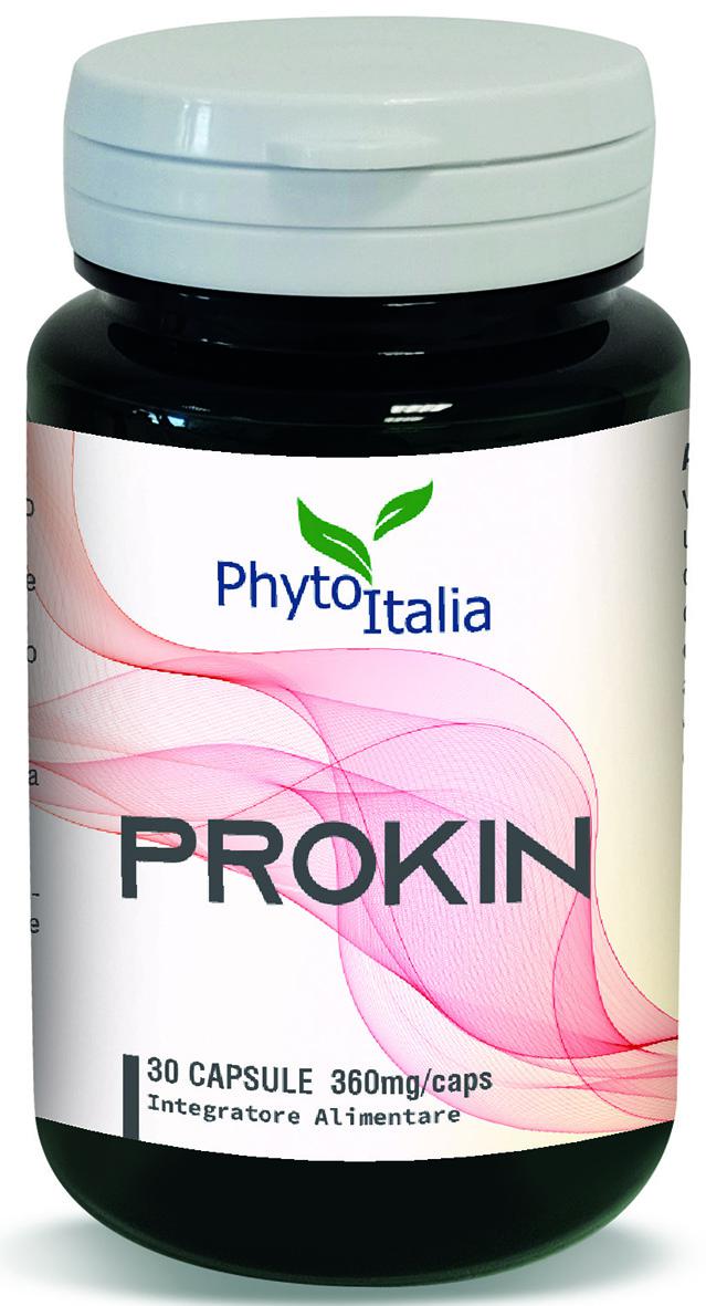 PROKIN
