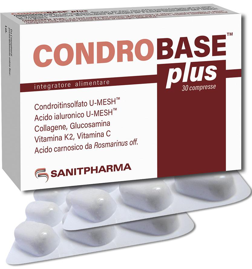 CONDROBASE™ PLUS