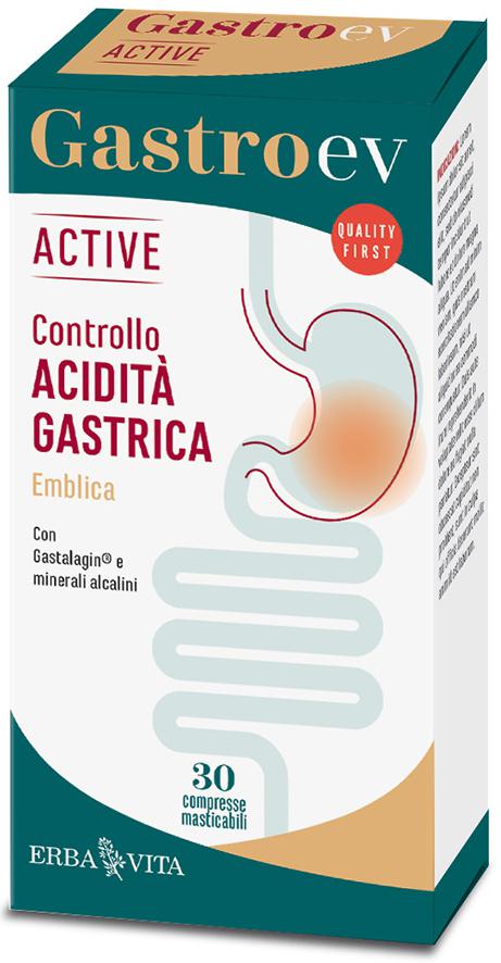 GASTRO EV ACTIVE