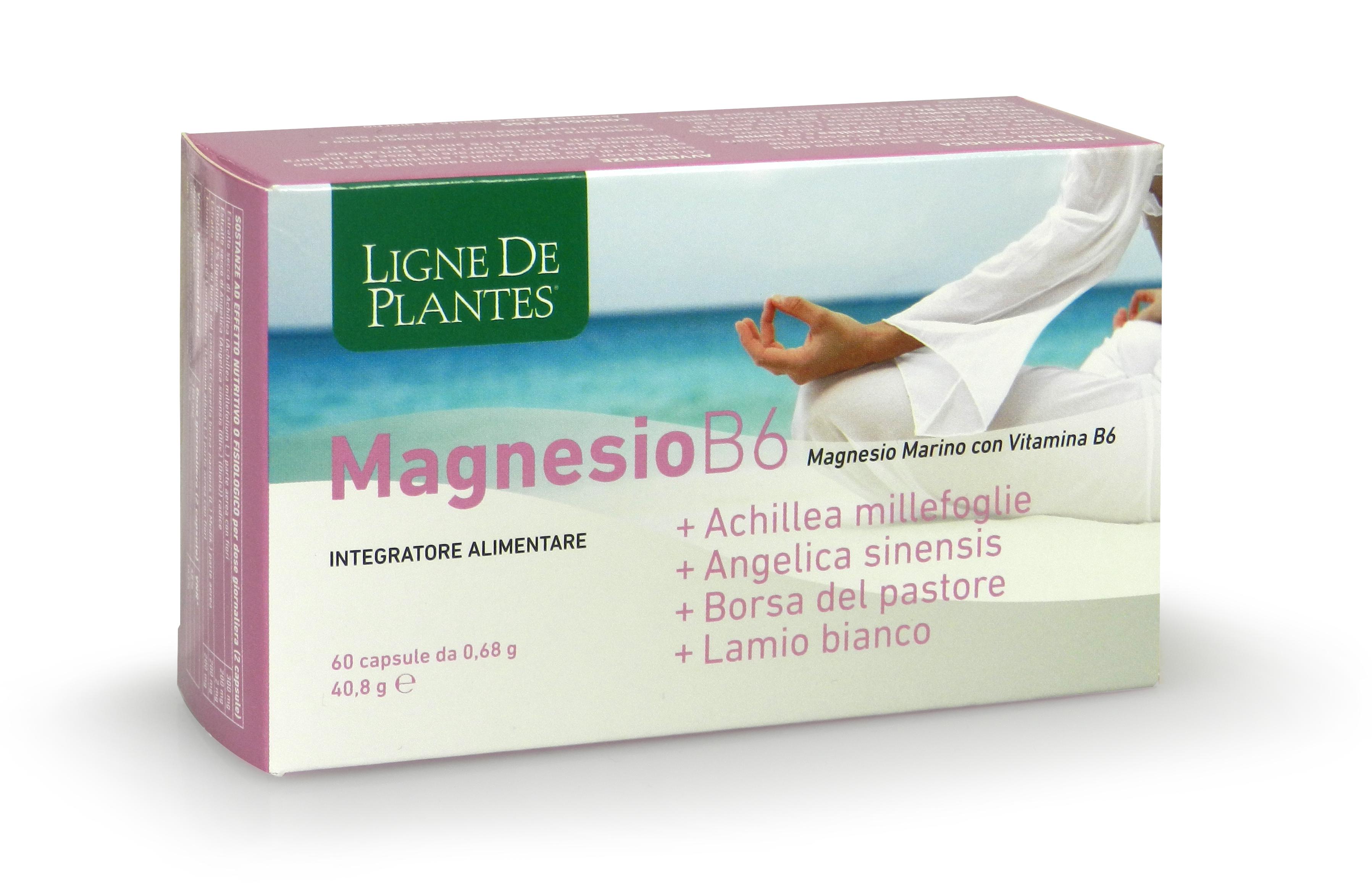 MAGNESIO B6 ACHILLEA