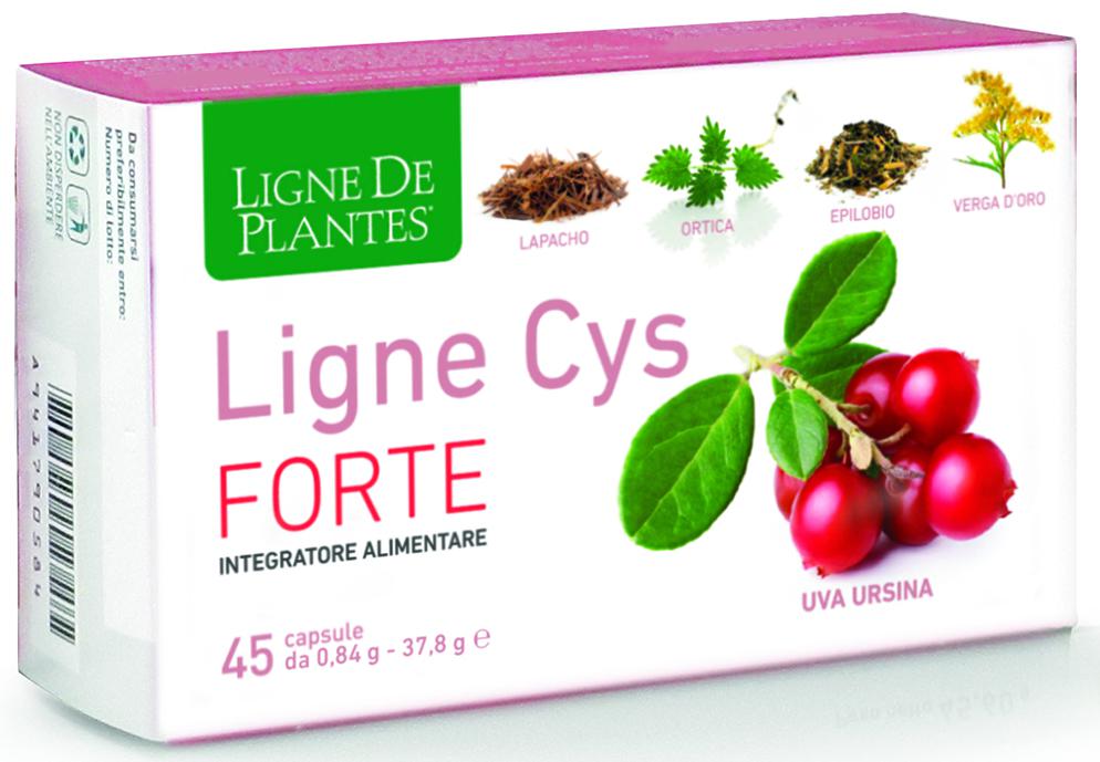 LIGNE CYS FORTE 