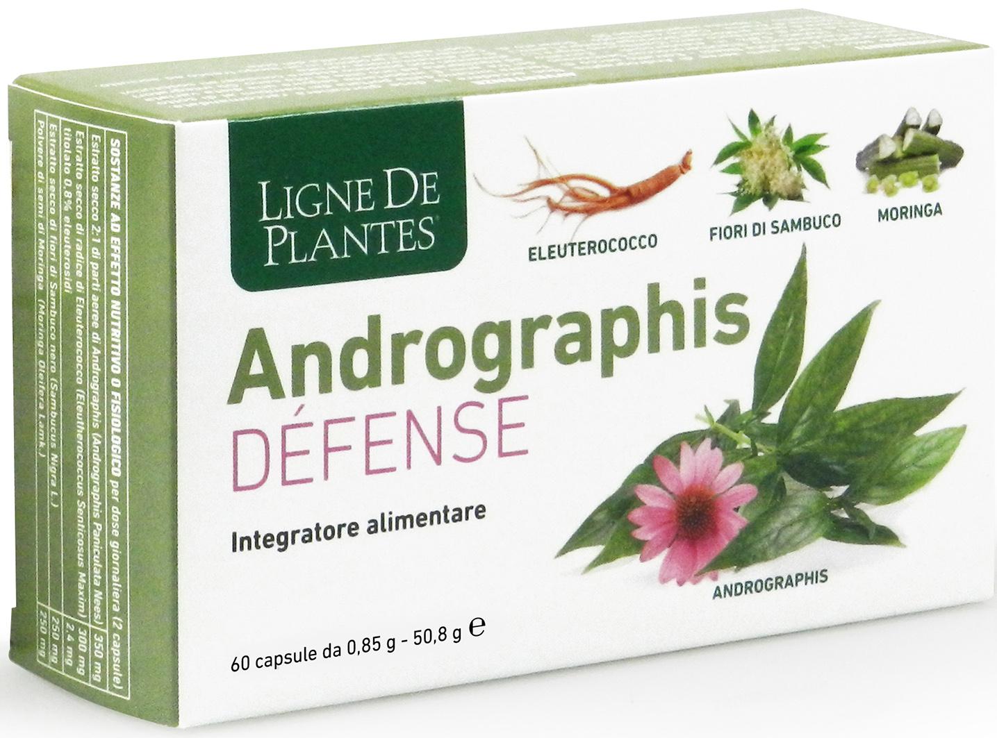 ANDROGRAPHIS DEFENSE