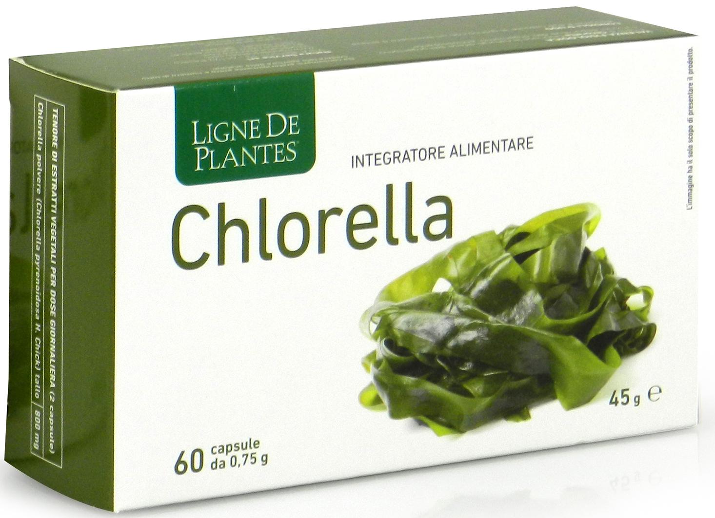 CHLORELLA