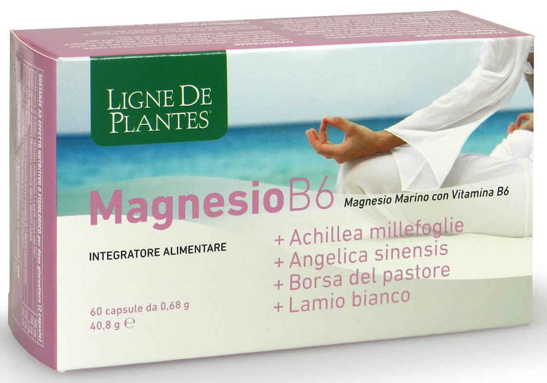 MAGNESIO B6 ACHILLEA