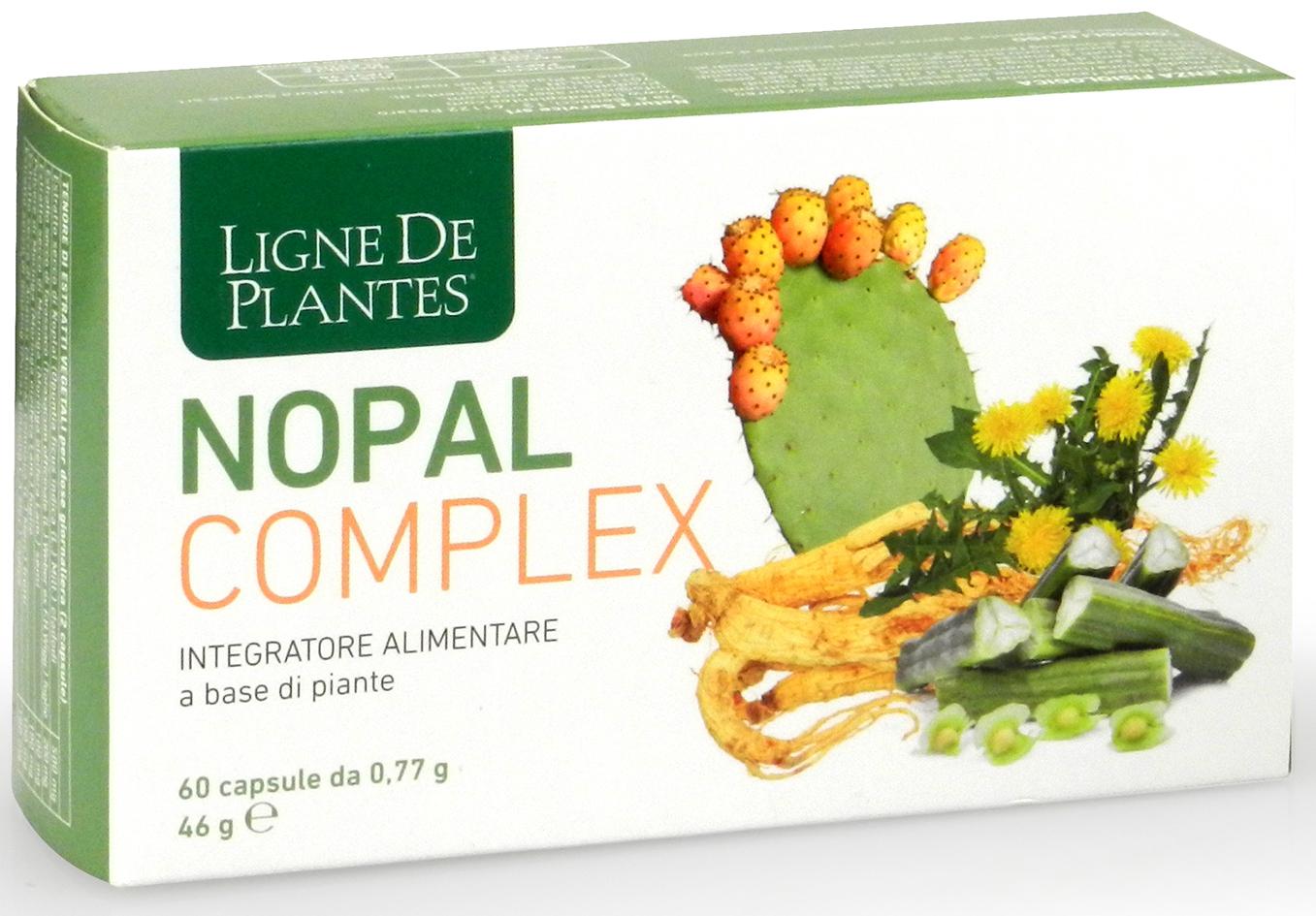 NOPAL COMPLEX