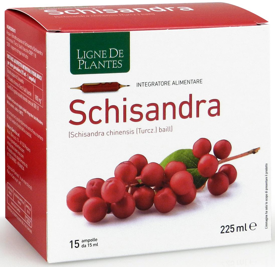 SCHISANDRA