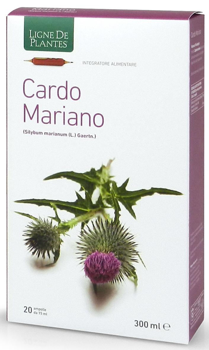 CARDO MARIANO 