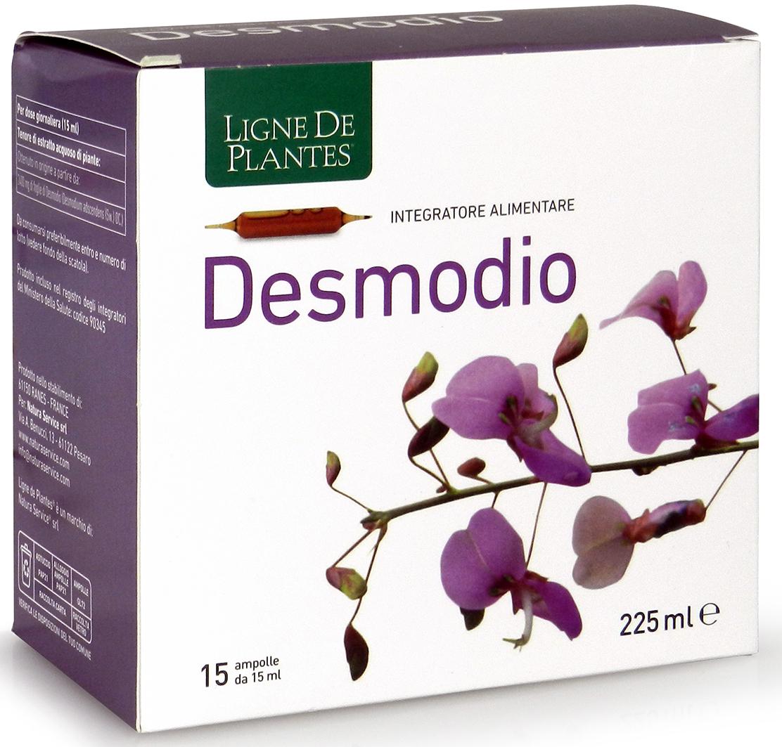 DESMODIO