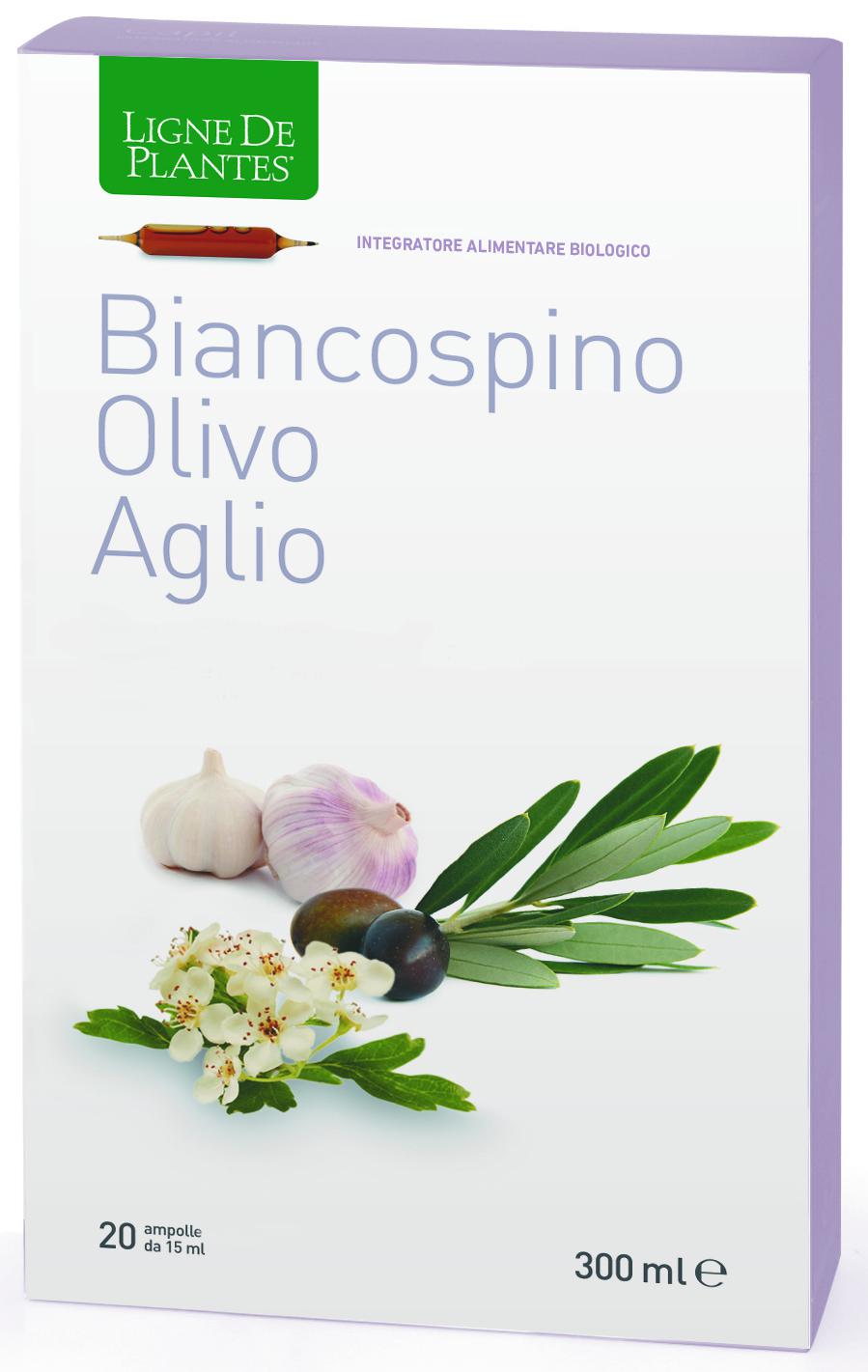 BIANCOSPIONO OLIVO AGLIO
