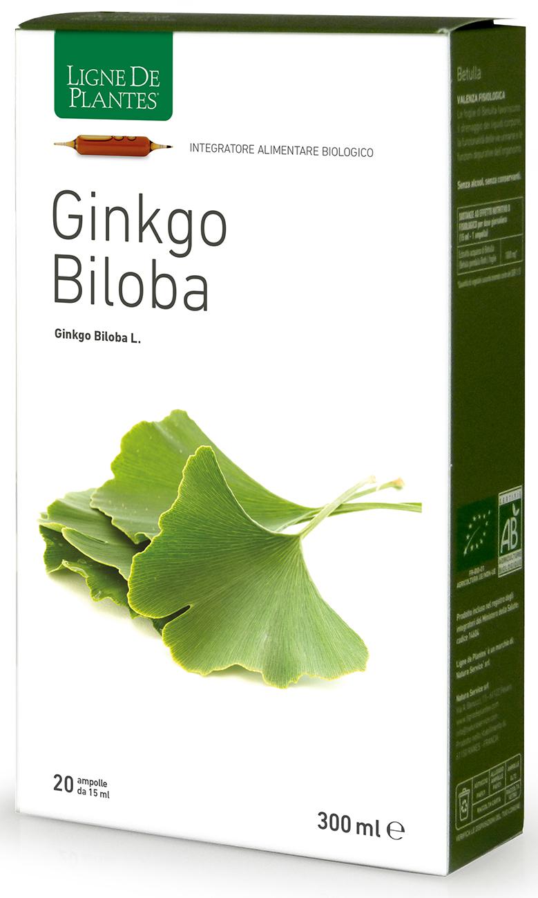 GINKGO BILOBA BIO