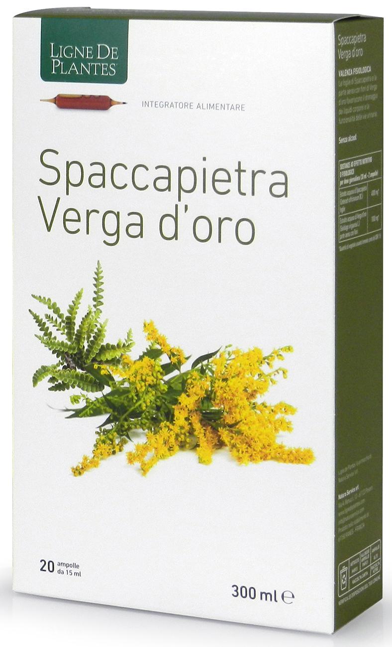 SPACCAPIETRA VERGA D'ORO