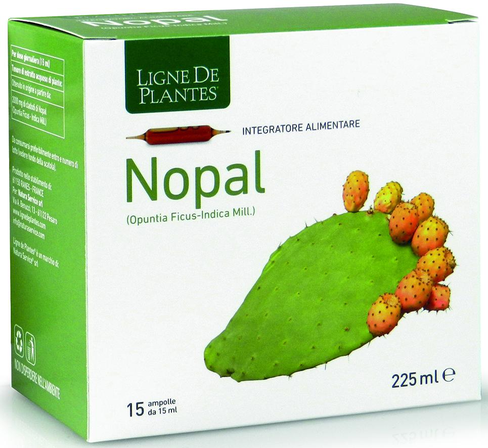 NOPAL