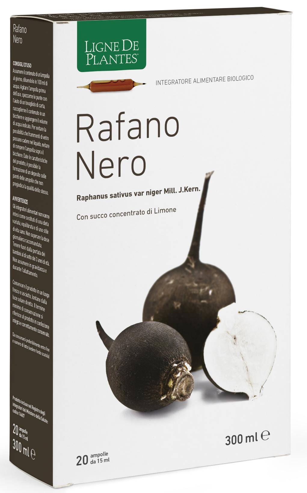 RAFANO NERO BIO