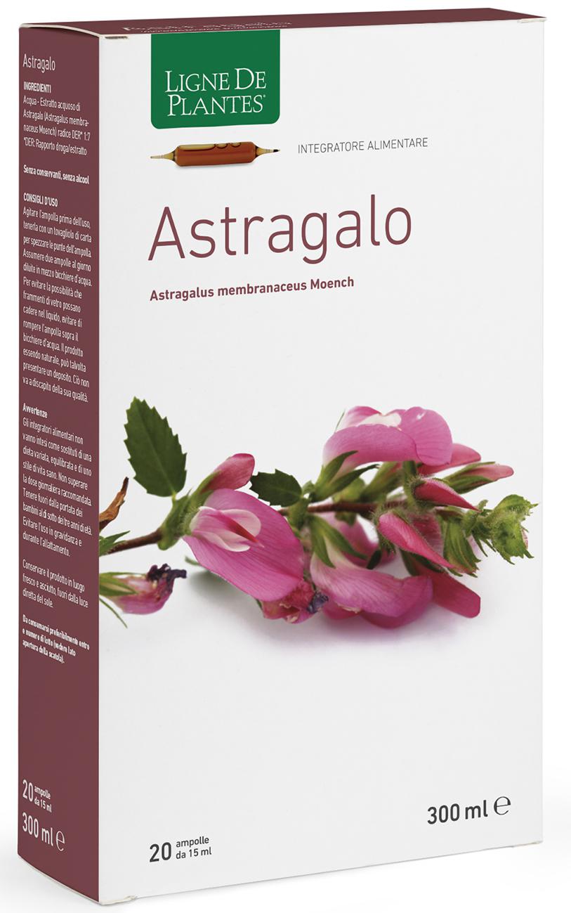 ASTRAGALO