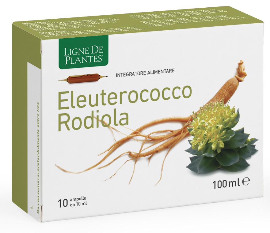 Eleuterococco Rodiola 