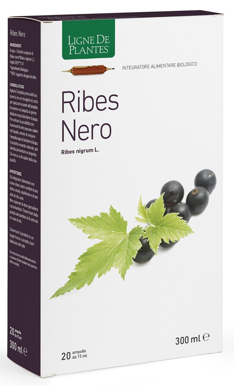 RIBES NERO BIO