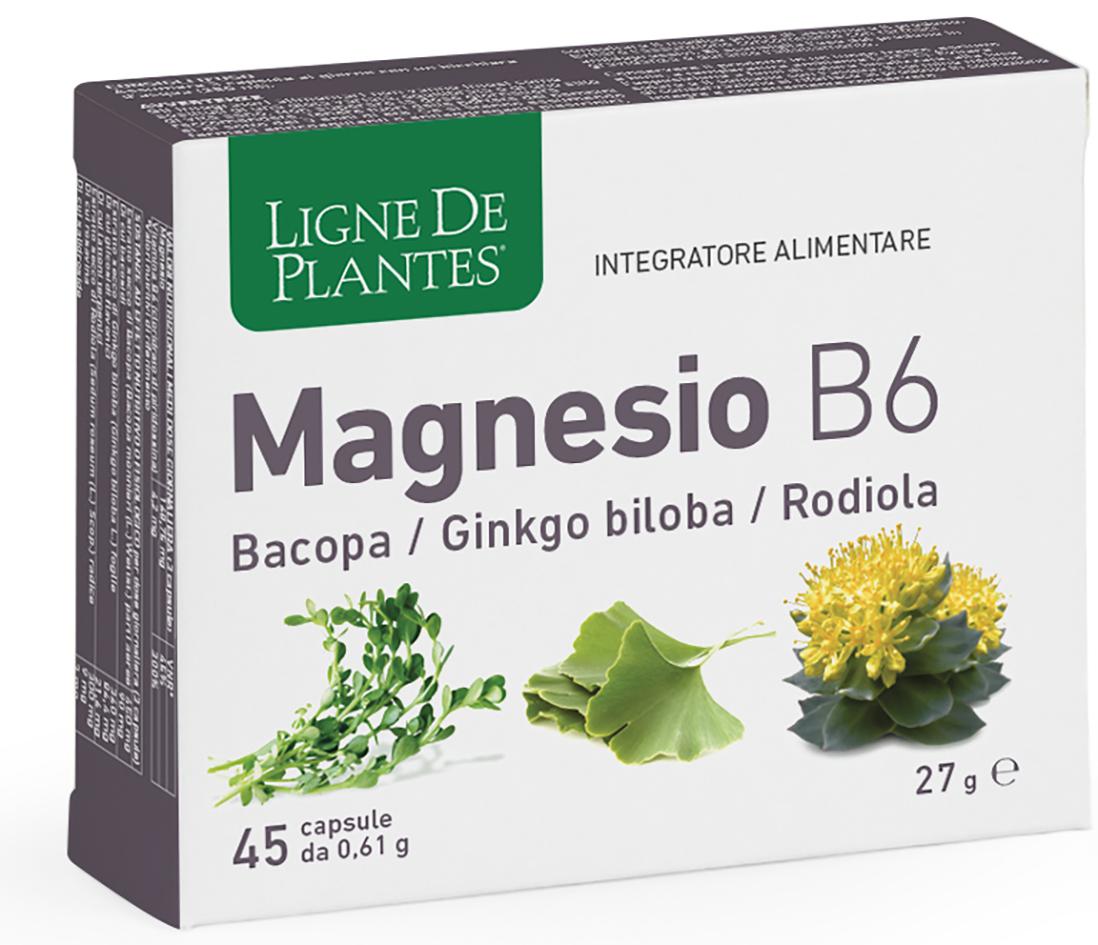 MAGNESIO B6 BACOPA GINKGO BILOBA RODIOLA