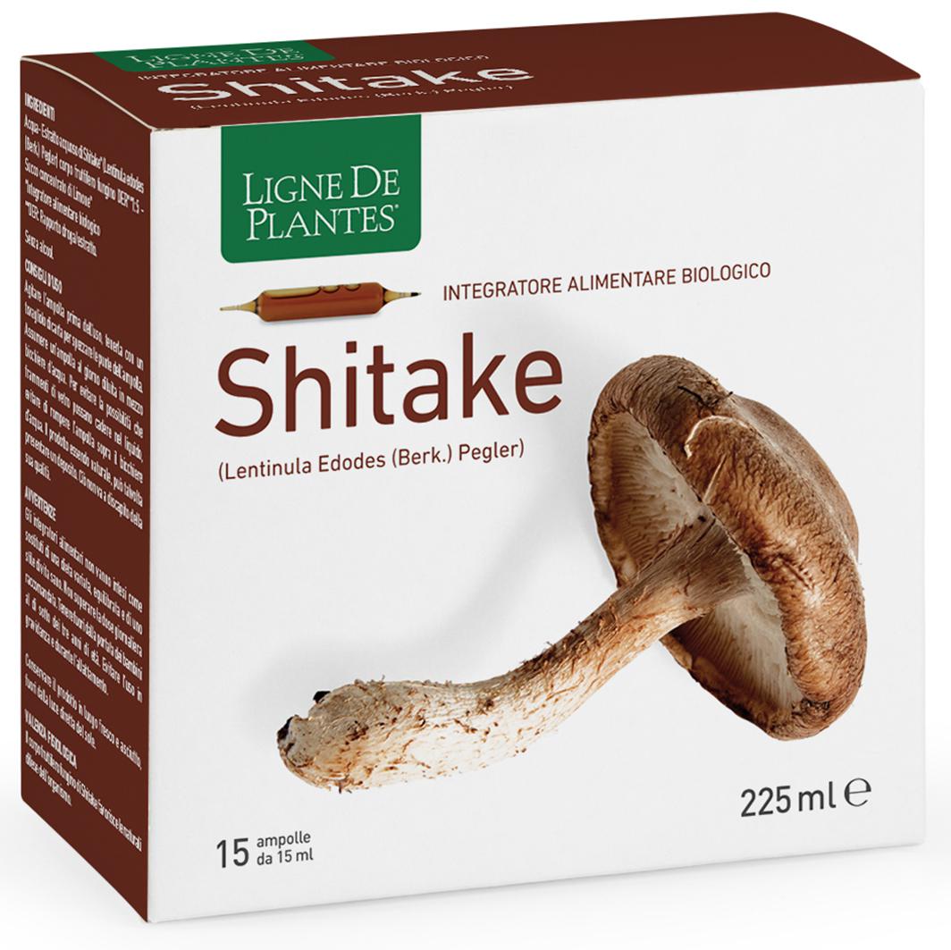 SHITAKE BIO