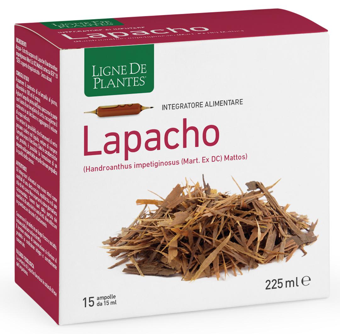 LAPACHO