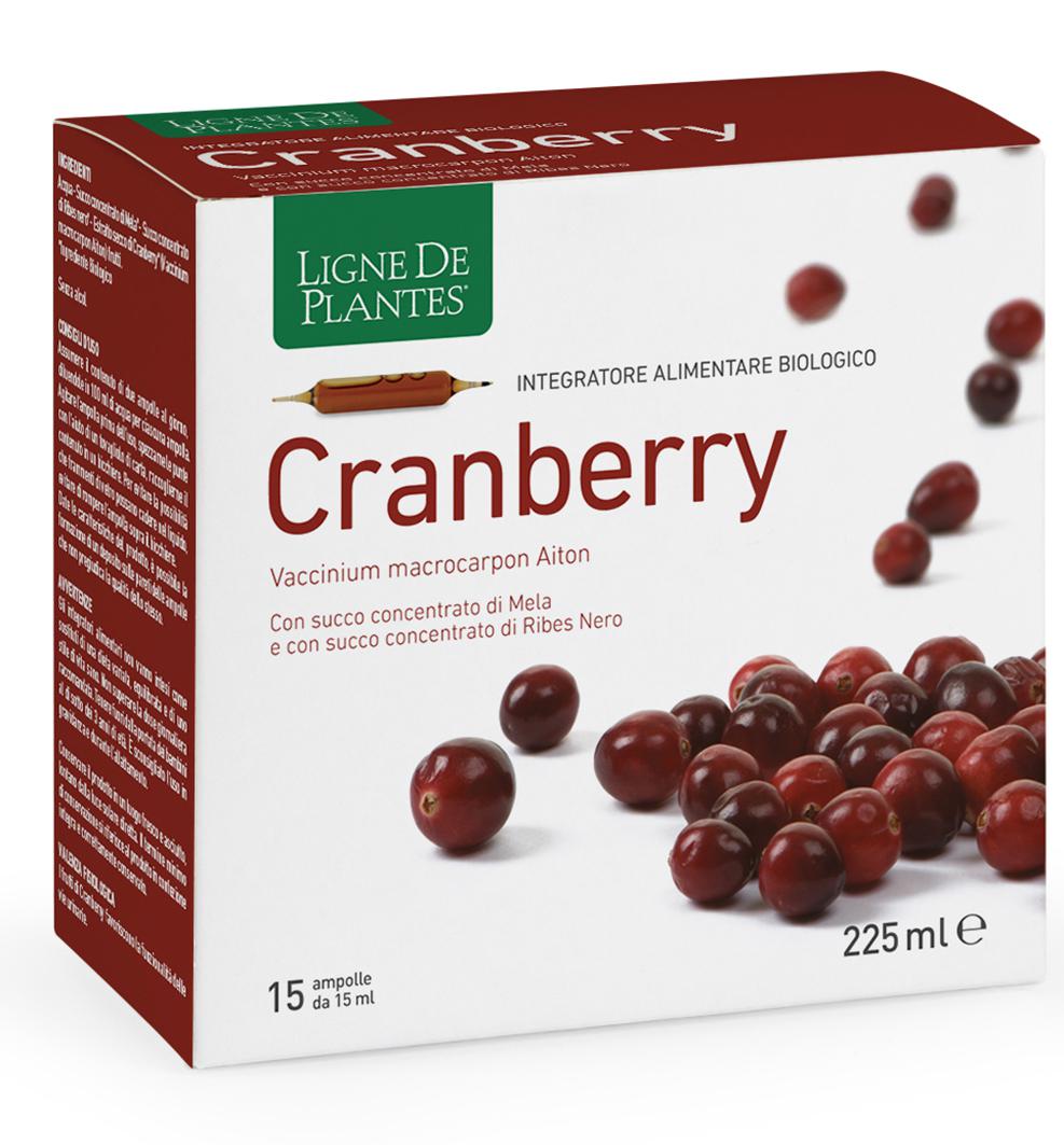 CRANBERRY
